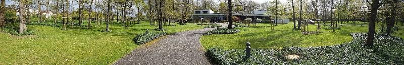 Plantation 9